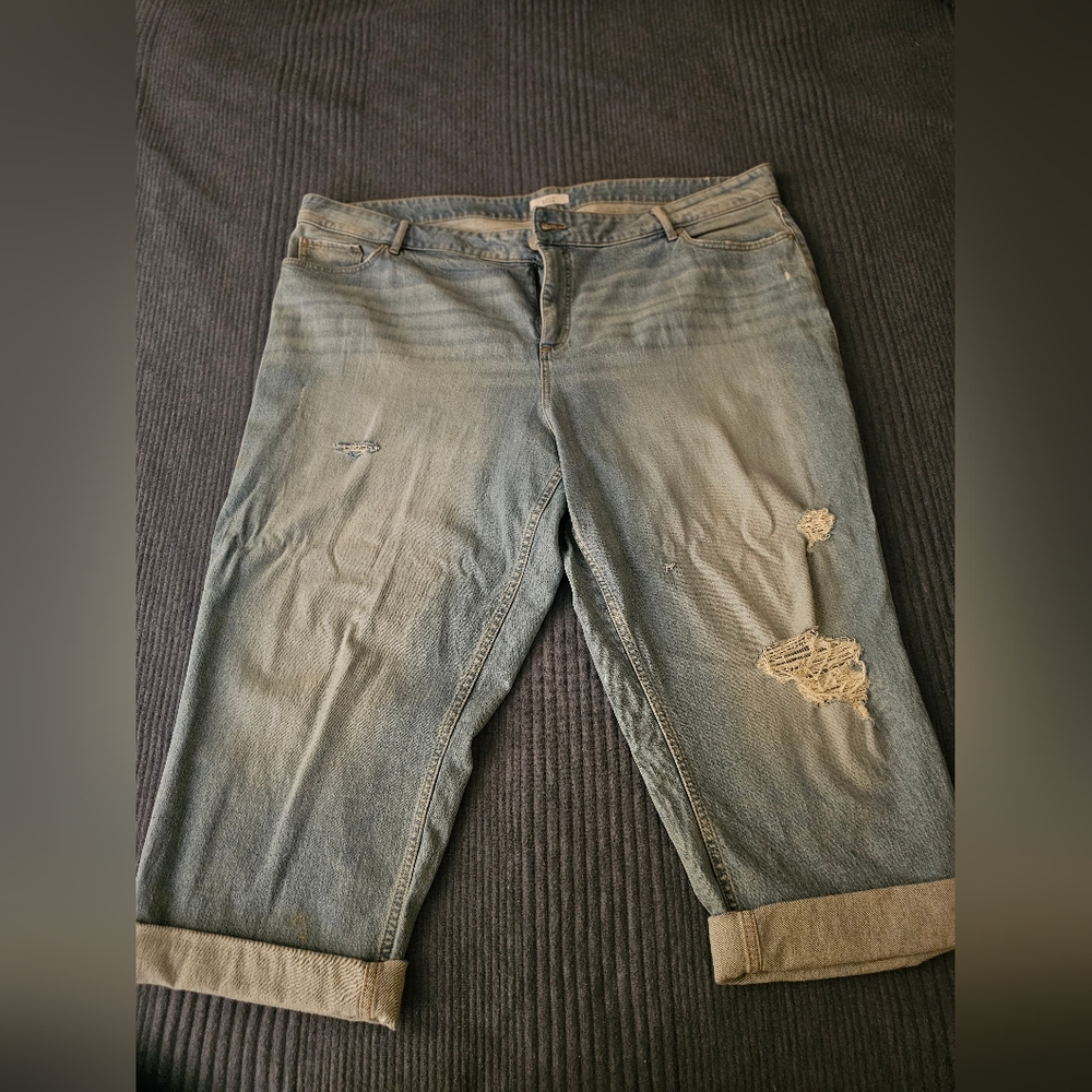 LOFT plus size, high waisted jeans size 22